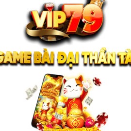 vip79cam