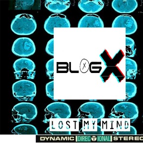 BLOGX