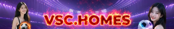 vschomes