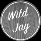 Wild jay