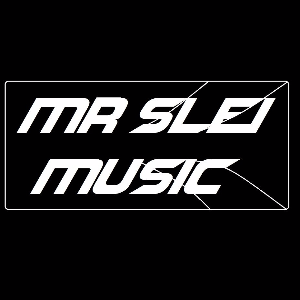 mr.sleimusic