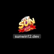 sunwin12com