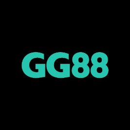 newggg888prov