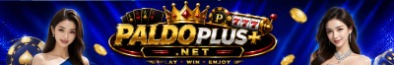 paldoplussnet