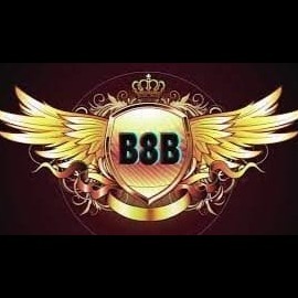 b8b1org