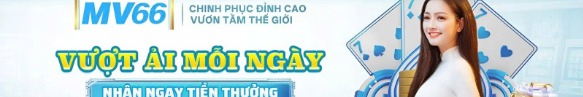 mv66store