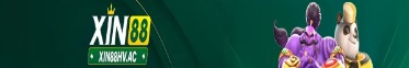 xin88hv