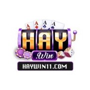 haywin11com