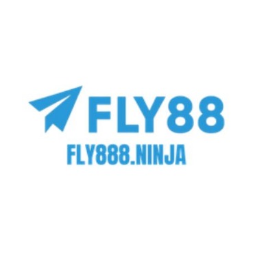 fly888ninja