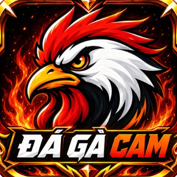 ĐÁ GÀ CAM