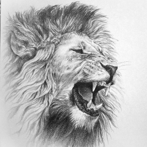 LION.