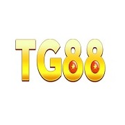 tg88vip2com