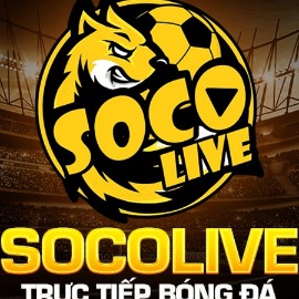 Socolive365io