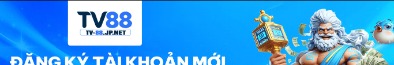 tv88jpnet
