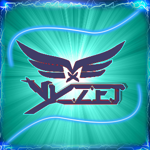 Vyzer