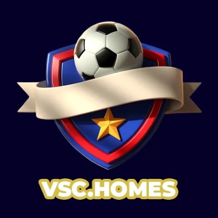 vschomes