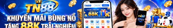 tn888info