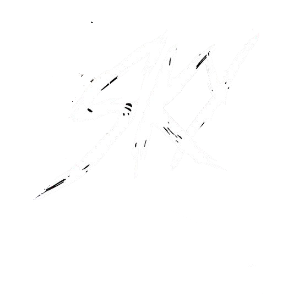 Dj Sky 505